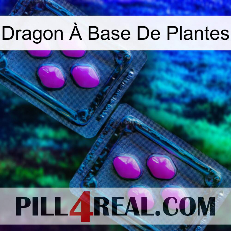 Dragon À Base De Plantes 03